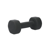 Гантель для аэробики неопреновая PRCTZ NEOPRENE DUMBBELL, 5 кг.